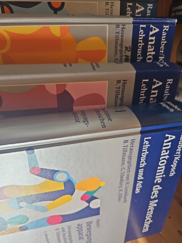 Anatomie des menschen - anatomie,