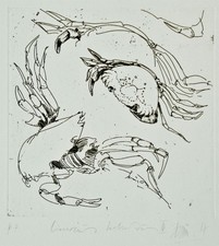 Ulf Rickmann Krabbe Tierdarstellung Liocarcinus holsatus signiert Radierung 2004
