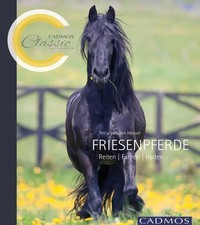 Friesenpferde Reiten, Fahren