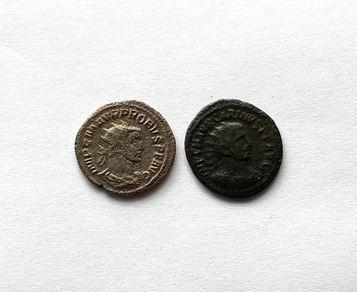 Probus und carinus antoninian - probus,