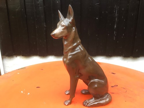 Schäferhund edle