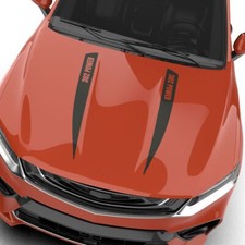 Rennstreifen Aufkleber Dekorstreifen Rallye Streifen Wunschtext Text  #1480