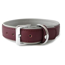 Das Lederband Hunde Halsband