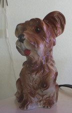 Rauchverzehrer Terrier Hund