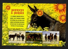 Grenada: Donkeys & Horses