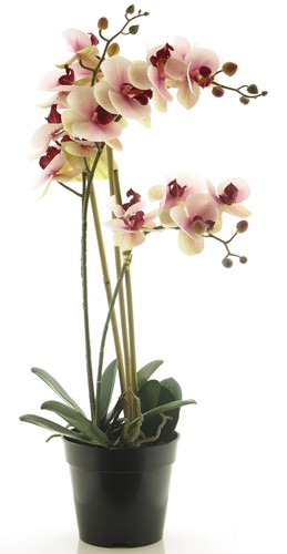 Artplants kunstblume - artplants,