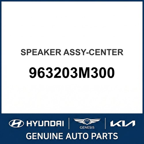 2008 2015 hyundai equus - 2008-2015,