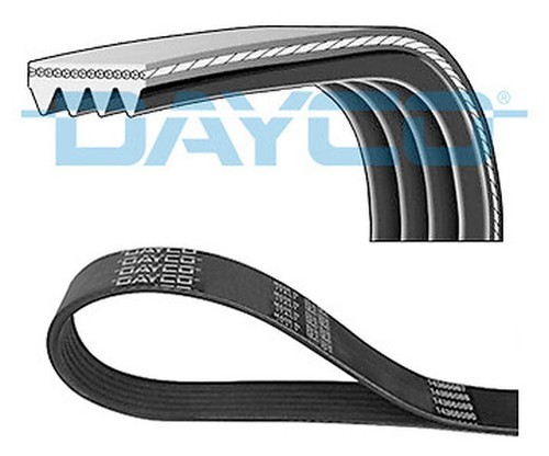 Dayco 4pk563 rillenriemen für - dayco,