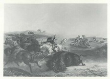 Indianische Bisonjagd zu Pferd Treibjagd Redskin Bodmer Pfeil Bogen Indianer 331