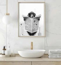 Schimpanse Toilette Bad Poster