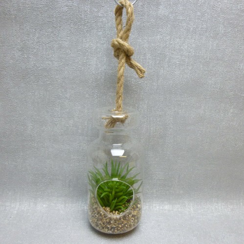 Formano deko glas sukkulente - formano,