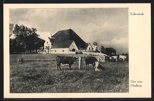 Ansichtskarte eiderstedt der - ansichtskarte, eiderstedt,