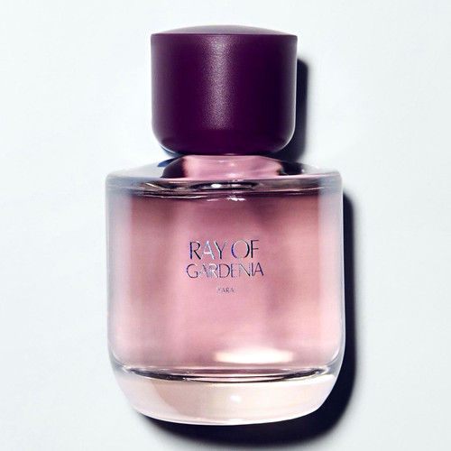 Zara ray gardenia - ray,