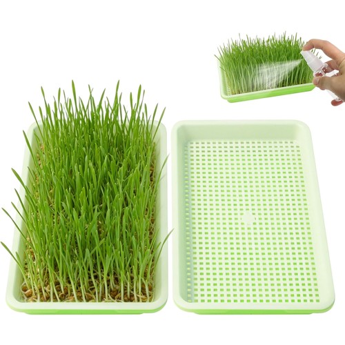 Sprossenbox keimschalen 2er - keimschalen,