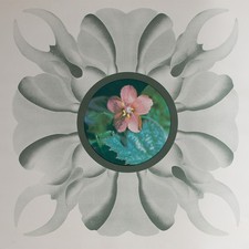 Gernot Bubenik Pop-Art Blüte