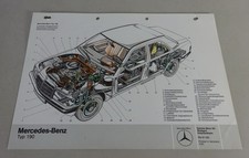 Schnittbild schnittzeichnung - schnittbild,