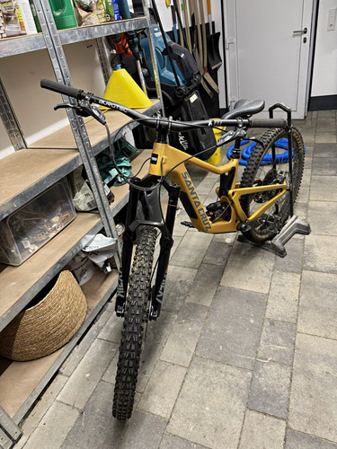 Santa cruz bronson - cruz,