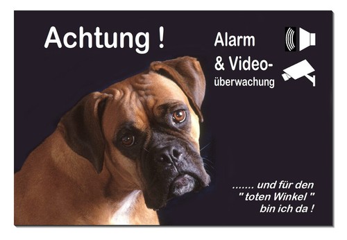 Boxer-Hund-Alarm+Video