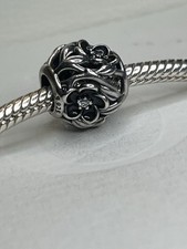 Pandora Charm Mystisches