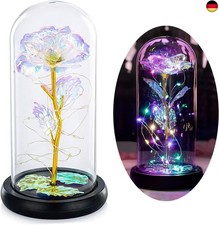 Glasseam Die Schöne Und Das