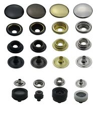 Ringfeder Druckknöpfe +