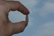 Mini Donnerkeil Spitze von