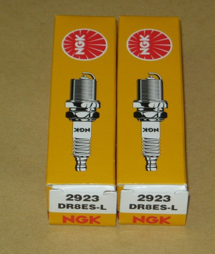 Zündkerzen ngk für - 2,