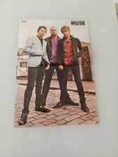 MUSE - A3 Poster (ca. 42 x 28