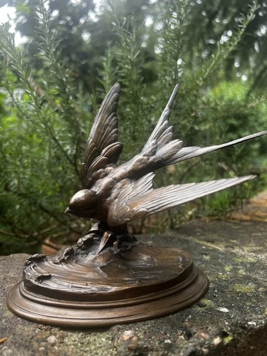 Schwalbe vogel flug bronze - schwalbe,