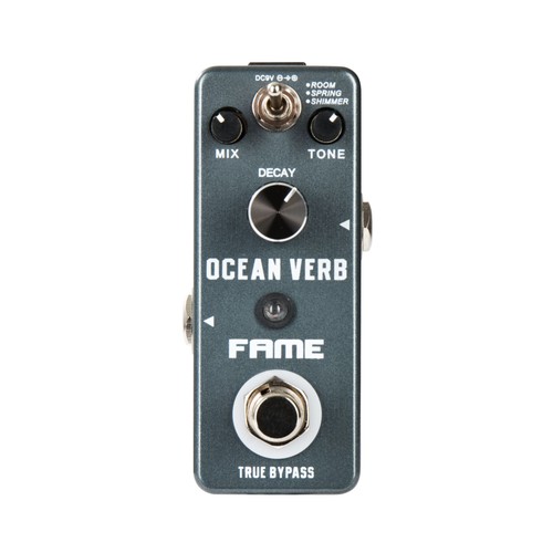 Fame ocean verb - ocean, gitarren