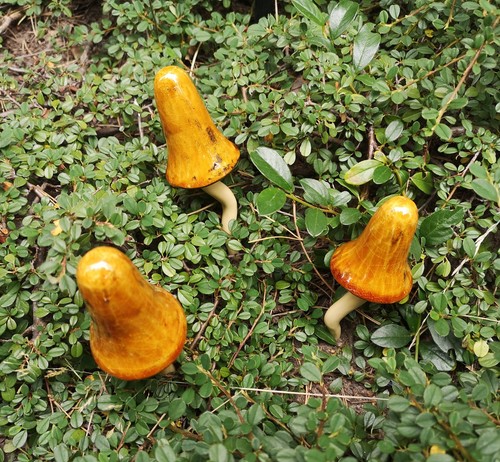 Pilze filigran keramik - filigran,