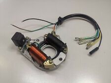 Stator Coil Spule Magnet Roller Minibike Pocket Dirt Bike ATV 2 Pole 