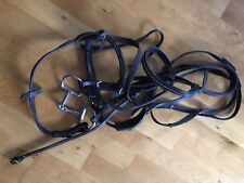 Soliber Trense WB , schwarz mit HS Srenger D Gebiss doppelt gebrochen Gr. 14,5