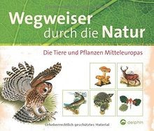 Wegweiser durch die natur - wegweiser,