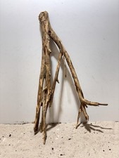 Talawa Wurzel XXL ähnlich