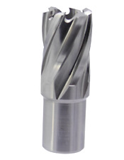 SMI HSS Kernbohrer 19 mm Weldon Schnitttiefe 30 mm,  Ø 12 - 40 mm wählbar