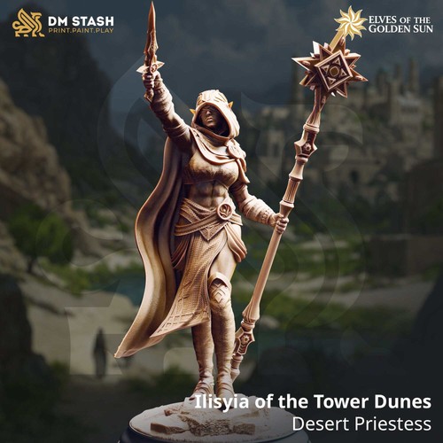 Human priest tabletop - human,