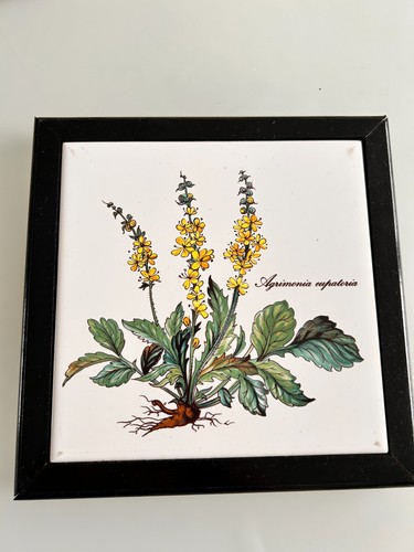 Botanica villeroy boch - villeroy,