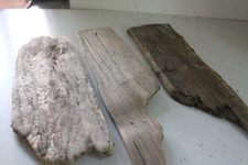 Schwemmholz Treibholz  3