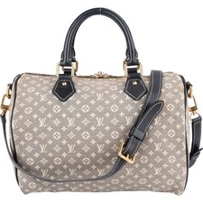 Louis Vuitton Monogram Mini