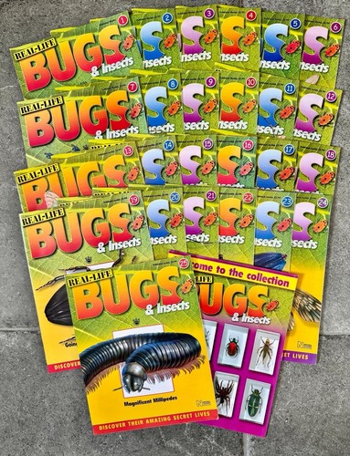 Real life bugs and - and, insects