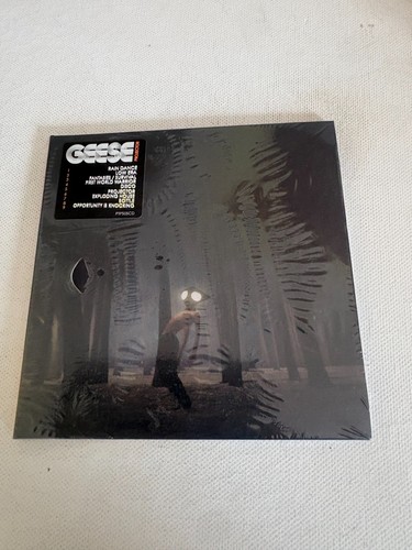 Geese projector new - -,