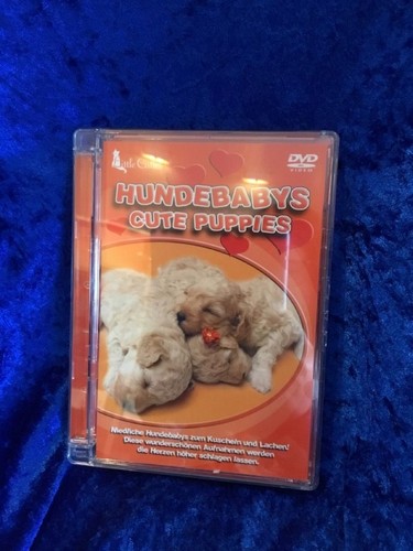 Hundebabys