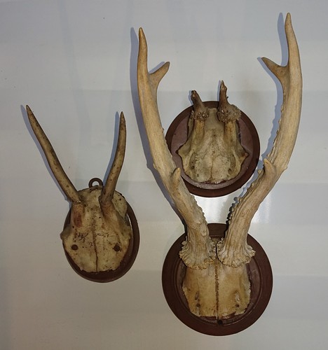 Sammlung 3 alte - sammlung,