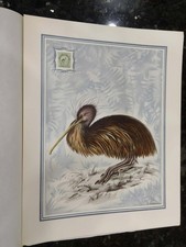 New Zealand  1898 - KIWI (