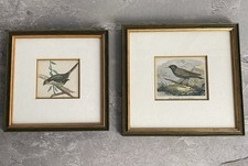 ANTIK Handcolorierung ✨