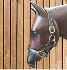 Busse Lederhalfter Exklusive