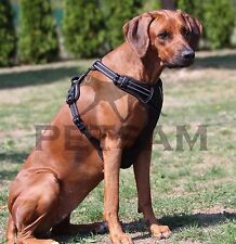 ALLROUNDGeschirr Hund Geschirr