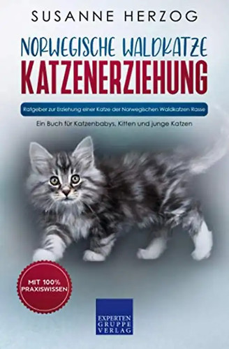 Norwegische waldkatze - norwegische,