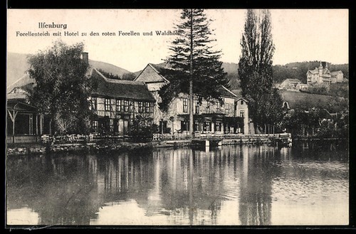 Ilsenburg forellenteich - ak, ilsenburg,